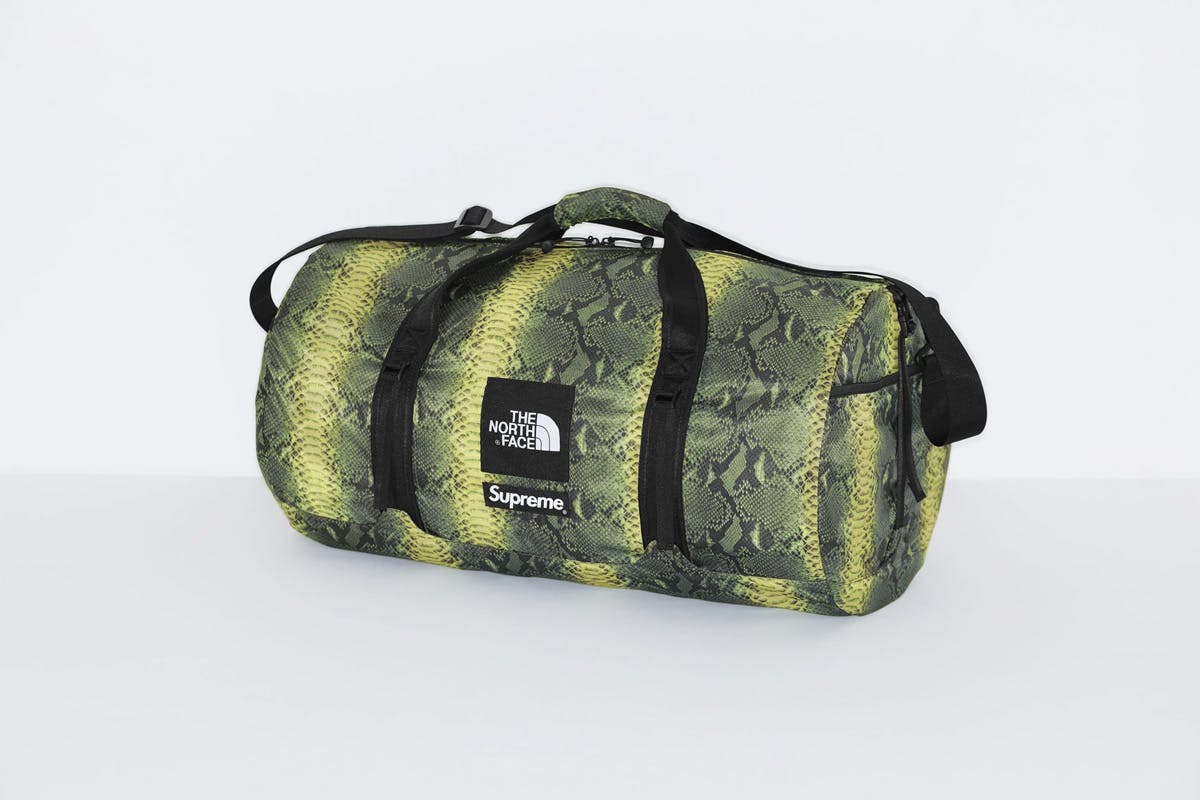 supreme north face snakeskin pants